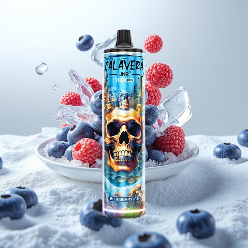 JNR Calavera 11000 Puffs Engangs Vape Blåbær Is – Type-C, 850 mAh, 21ml