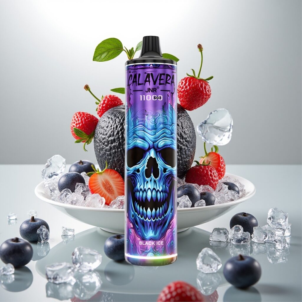 JNR Calavera 11000 Puffs Engangsvape med Type-C-lading, 850 mAh batteri, 21 ml e-væske – Svart Is