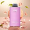 JNR Mega Box 25000 Puffs Engangsdamp – Juicy Peach (30ml, 850mAh, Type-C)