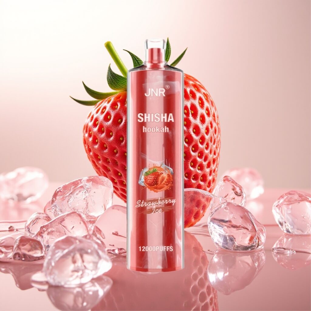 JNR Shisha Hookah 12000 Puffs Engangs E-sigarett Jordbær Is – 750mAh, 24ml, Type-C