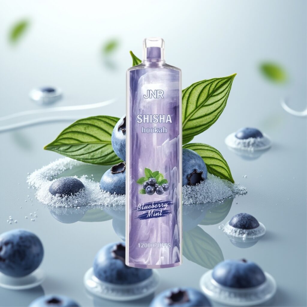 JNR Shisha Hookah 12000 Puffs Engangsdamp – Blåbær Mynte, 24ml, 750mAh, Type-C-lading
