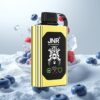JNR Shisha Hookah Box 20500 Puffs Blåbær Is – HD Display, 25ml, Type-C Lading